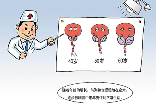 图片63.png