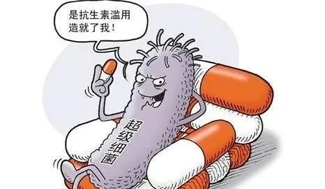 图片12