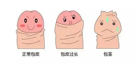 图片17
