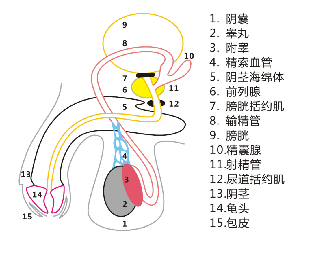 图片8.png