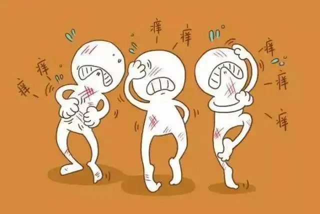图片7.png