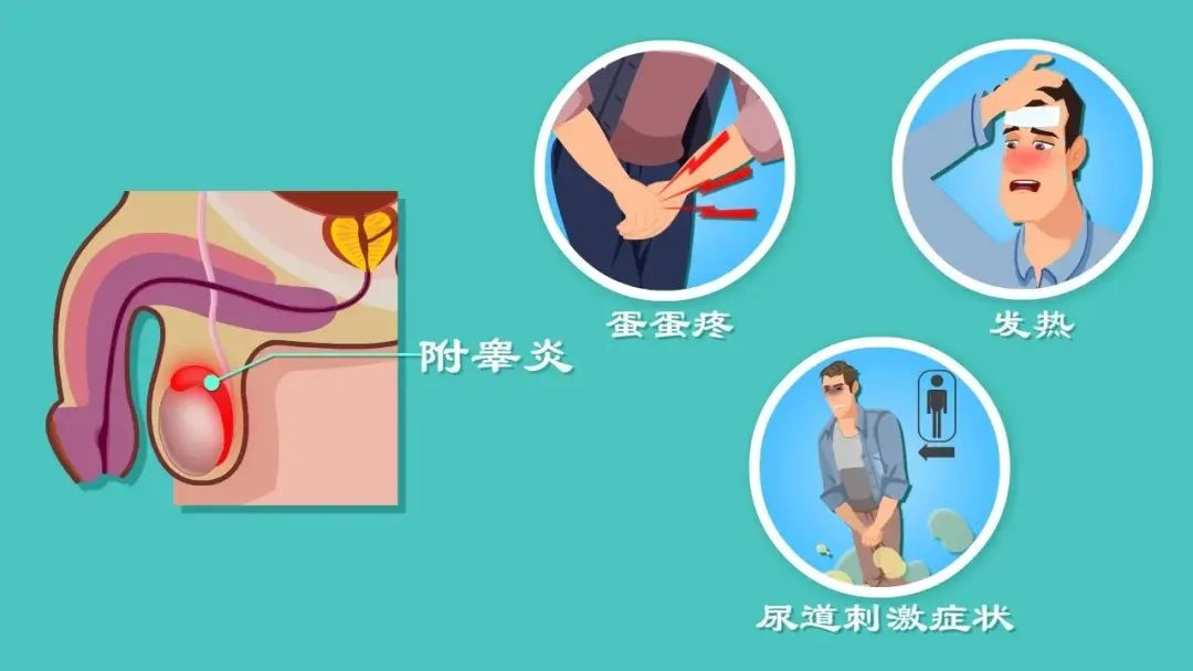 图片12
