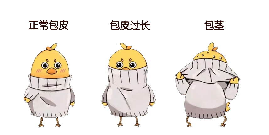 d8806a81912c33ba500909ac28ef7a49.png