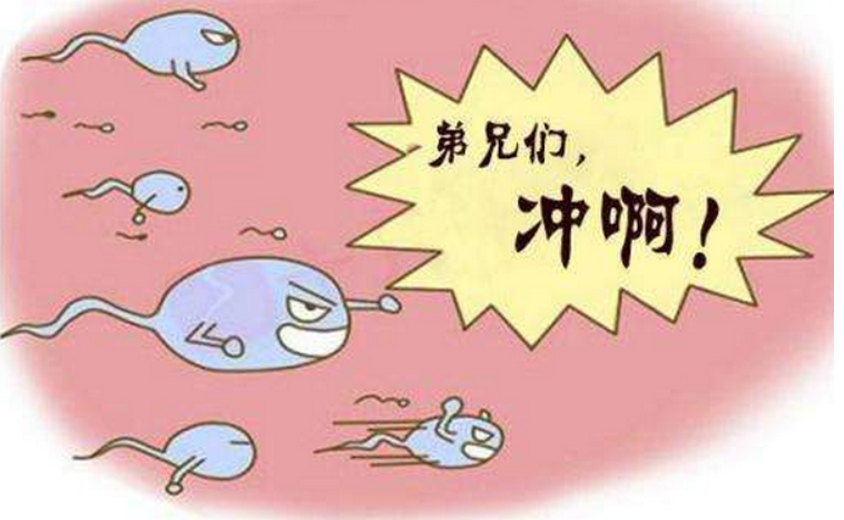 53be236cc889a67cd4a7da10f16992bc.png