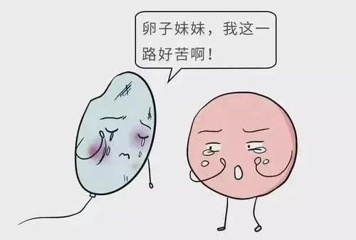 3b3546599f5dd1c404fd34b228c58e50.jpg