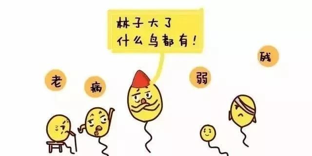 b4eda9b9d6ee973fc44fc6ad0cb65b82.jpg