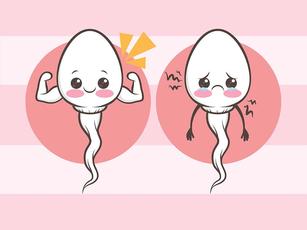 08a64deb0e20ad2387cc25147bcd83b4.png