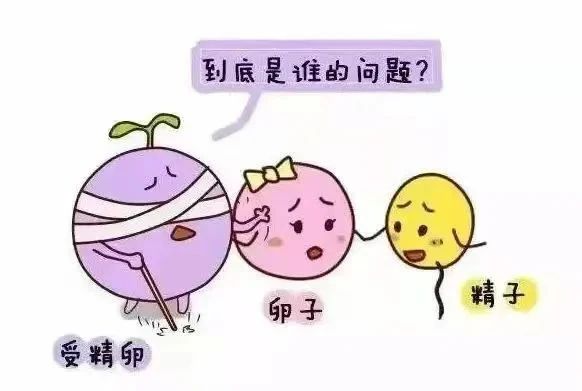 be3533db3c521a390acf2694198b3fad.jpg